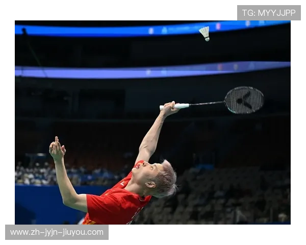 羽毛球争议球回看