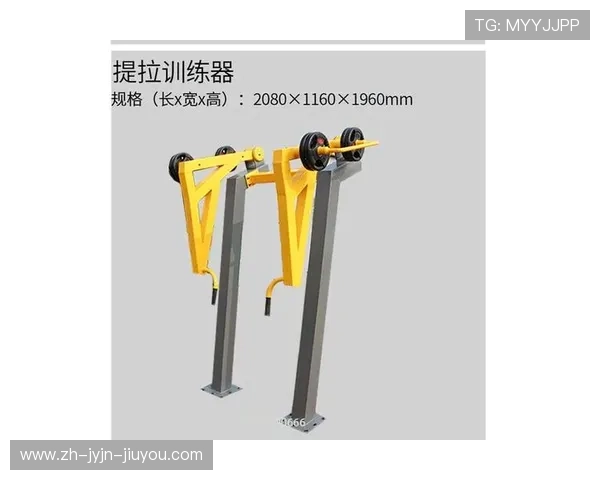 高拉力训练器的多种训练技巧与肌肉塑形